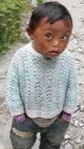 知青往事：二癟子和隊長家的北大倉酒