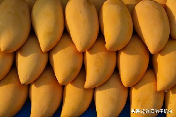 晚上少吃這幾樣水果 晚上少吃這幾樣水果