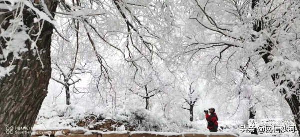 雪後沙河，夠不夠美？