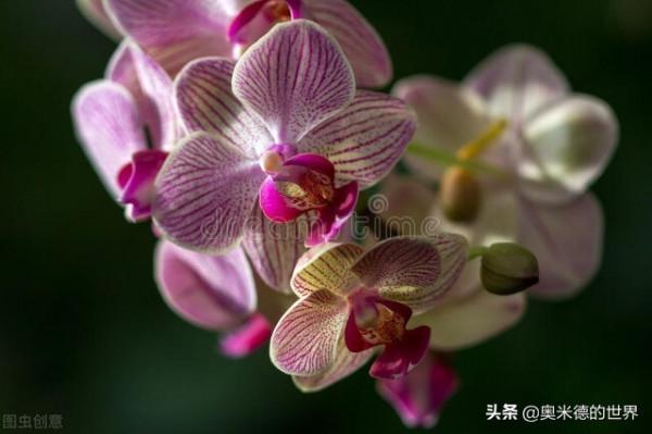 《百年孤獨》的故鄉&OpenCurlyDoubleQuote;哥倫比亞&rdquo;的20個冷知識，你知道幾個？