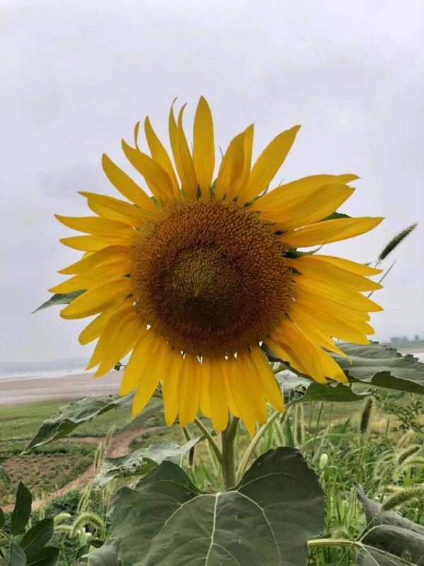 我於我內心所想 我於我內心所想