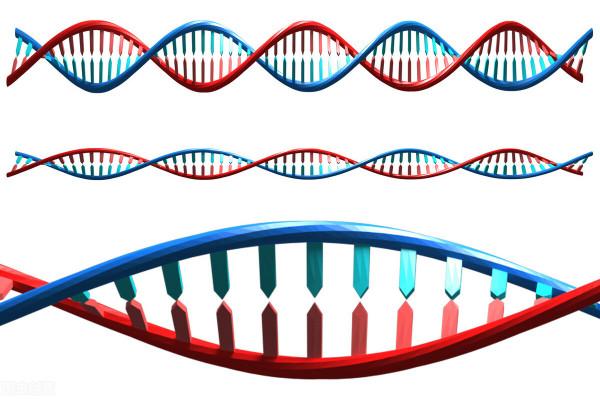 肺癌基因突變好，還是沒有基因突變好？醫生告訴你答案