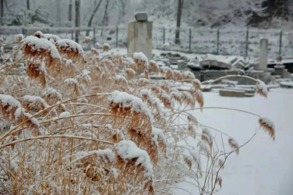你敢信？一百多年前的皇室就已經開始用“地暖”了！