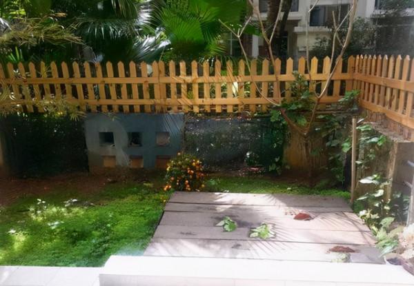 這才是院子該有的樣子！70後大叔的庭院，那叫一個漂亮，快來瞧瞧