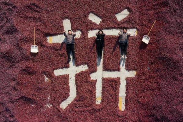 農村電商為什麼能啟用青年創業者？| 品牌新事