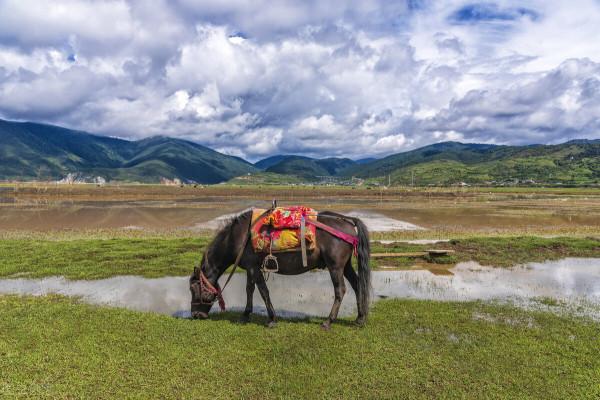 一月最有活力的地方，景色絕美，鮮有人至，值得一去