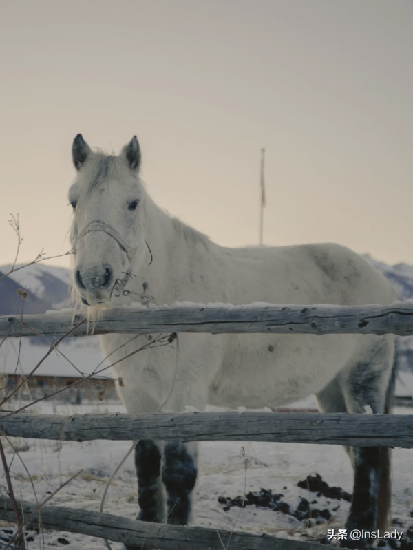 中國最美民宿一晚6000，網友看完：太便宜了&period;&period;&period;