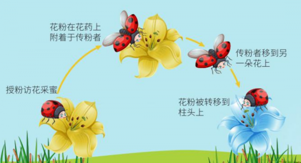 4男4女曾進行封閉空間實驗,結果發現,人類被一直“困”在地球? 4男4女曾進行封閉空間實驗,結果發現,人類被一直“困”在地球?