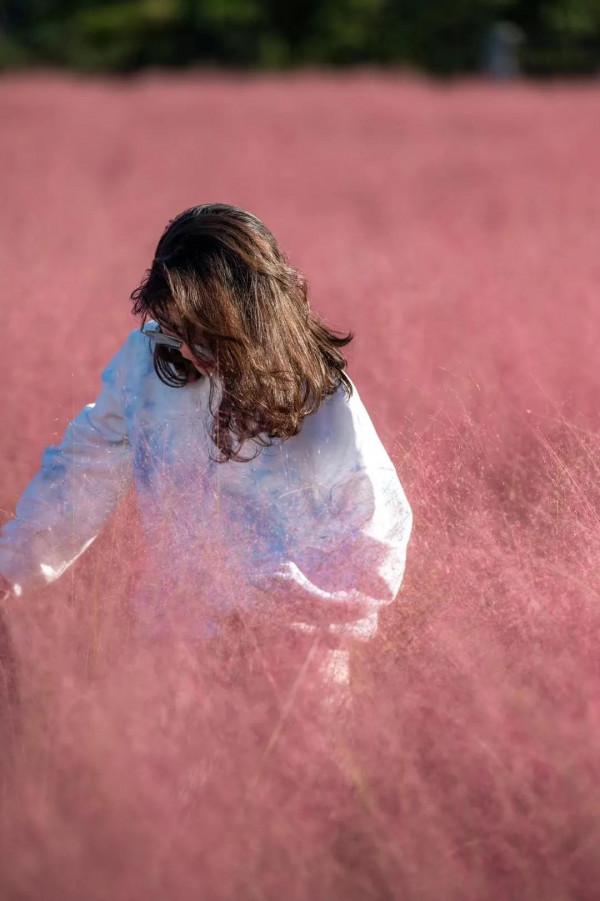 攻略② | 適合秋季打卡的旅行清單都在這裡,請收下 攻略② | 適合秋季打卡的旅行清單都在這裡,請收下