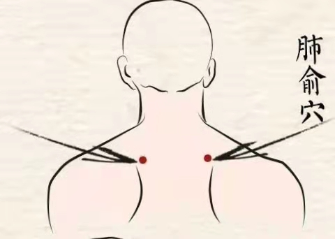 秋若會養肺，冬必少生病