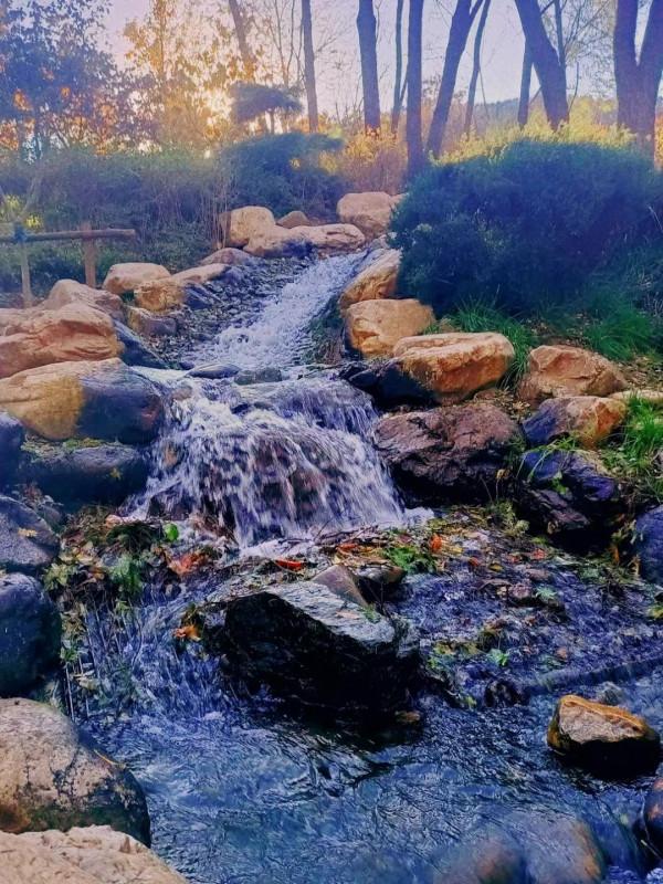 每日好詩丨高本宣：水的名字