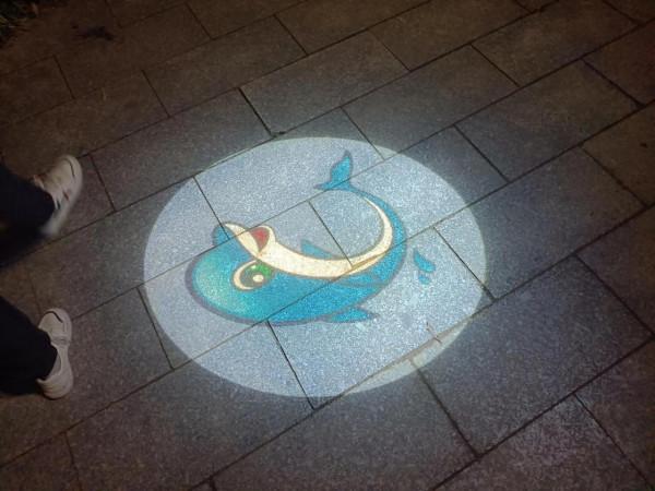 美麗的後湖夜晚