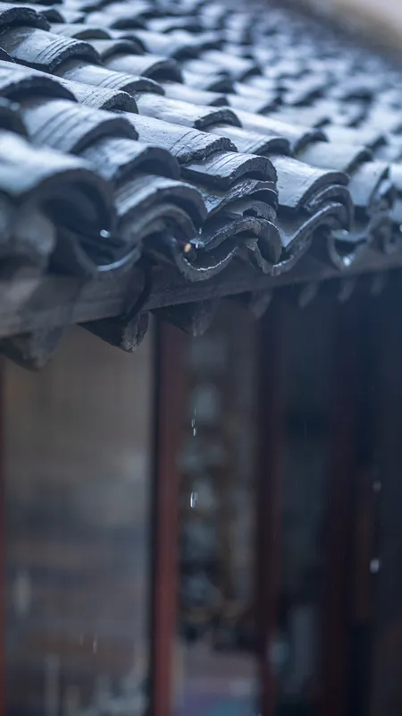 一葉知秋,烏鎮秋天的第一波美圖,誰看誰心動 | 烏鎮•美圖 一葉知秋,烏鎮秋天的第一波美圖,誰看誰心動 | 烏鎮•美圖