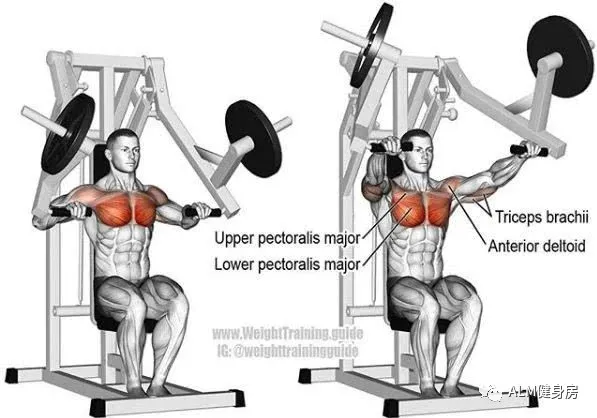 透過發力角度判斷髮力肌肉部位 透過發力角度判斷髮力肌肉部位