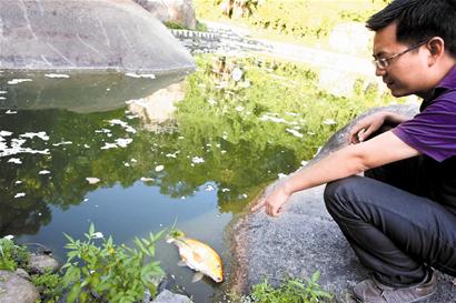 有人說“黑漂正口中死魚，勸你收竿別猶豫”，到底是怎麼回事？