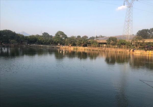 帶著長安CS75Plus釣魚 帶著長安CS75Plus釣魚