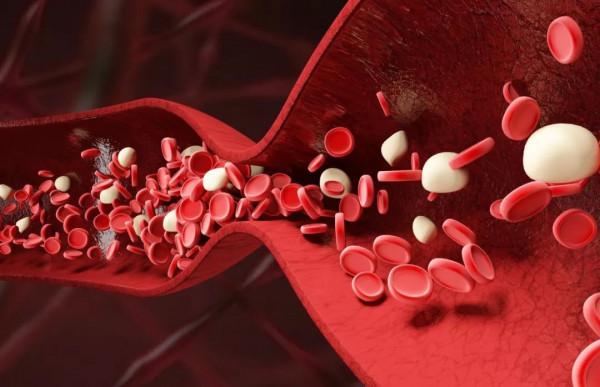 人到中老年多喝點酒能活血化瘀？你可能聽錯了，不如多做這2件事