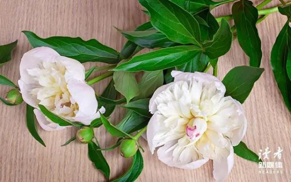 關於文學和愛情，北島的10句話恰如其分