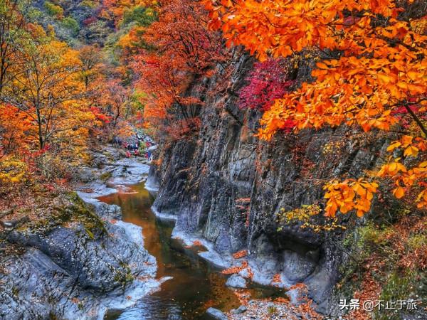 金秋旅遊旺季，東北這座小城開掛迎來中國最美早秋，讓人流連忘返
