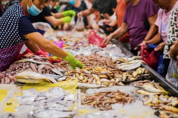 全國秋天神仙菜市場大賞 全國秋天神仙菜市場大賞