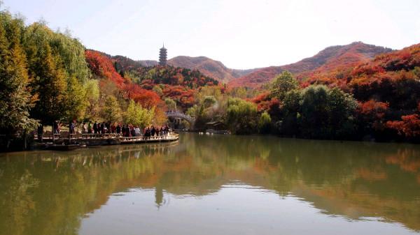 楊萬里兩首蘊含人生哲理的小詩,清新自然,極富趣味,值得一讀 楊萬里兩首蘊含人生哲理的小詩,清新自然,極富趣味,值得一讀