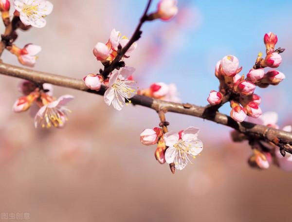 退休女人要會存錢，也要學會賺錢