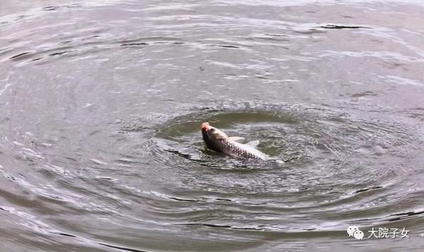 孫新生：閒話垂釣