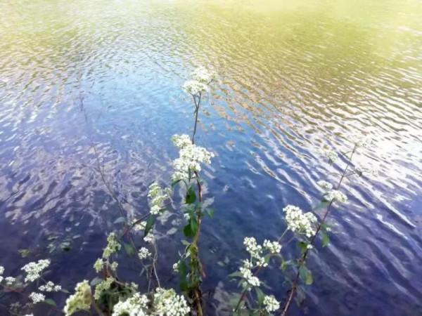戀上這座山之四：一池秀水入眸中