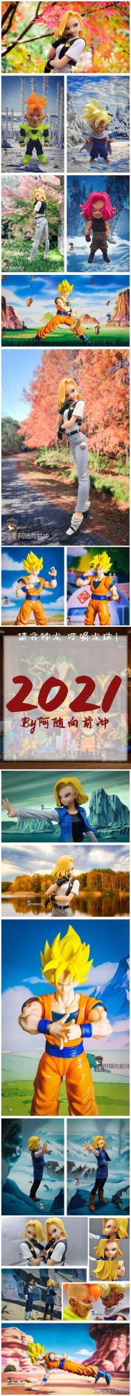 2021個人手辦年度報告，龍珠之愛終能抵過歲月的催老與生活的不易