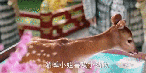 一個比一個廉價,辱智的五毛特效,但凡上點心都做不出這種東西 一個比一個廉價,辱智的五毛特效,但凡上點心都做不出這種東西