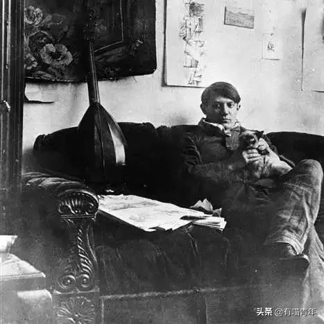 乾隆也太會給貓起名了！現代人只會：咪咪