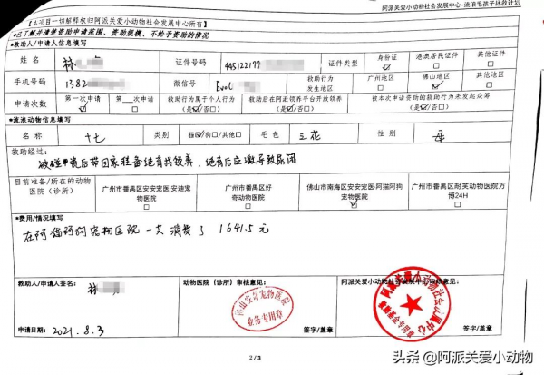 阿派救助基金公示 : 碰瓷大王，未成年三花少女的心機得逞