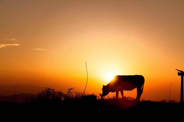 想讓別人對你刮目相看，就要掌握這3種能力，讓你變得更加厲害