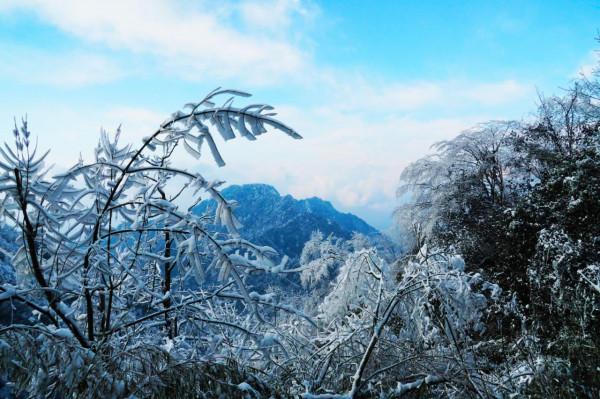 在家觀冬奧 聯想冰雪記憶