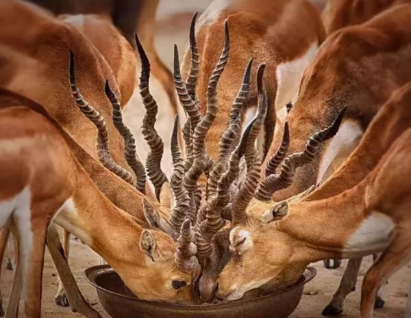 66張治癒強迫症的完美圖片，看完整個人都舒服了