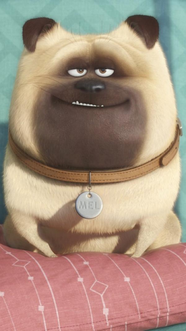 月運｜呂克 十一月星座運勢