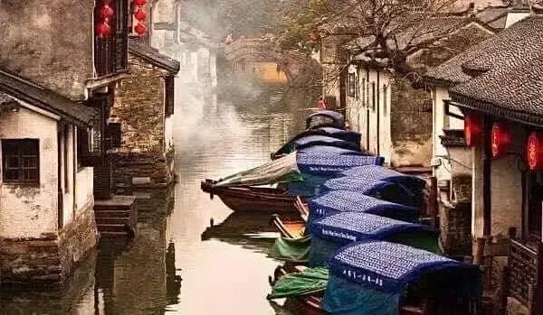 茅狗的“科長夢” 茅狗的“科長夢”