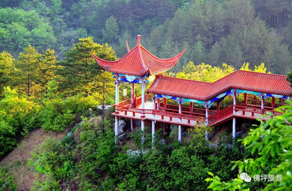 邂逅浪漫初冬 | 快來解鎖佛坪最全遊玩指南~ 邂逅浪漫初冬 | 快來解鎖佛坪最全遊玩指南~