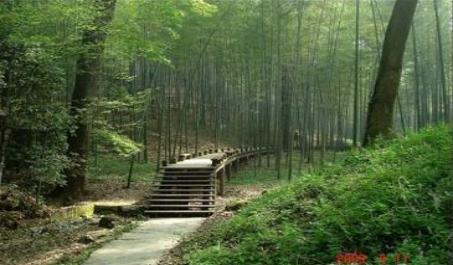 浙江十大冷門景點，人少景美好玩