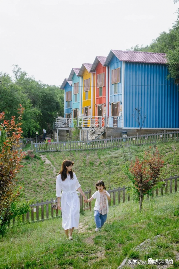 樹頂漫步黃龍住宿360°觀