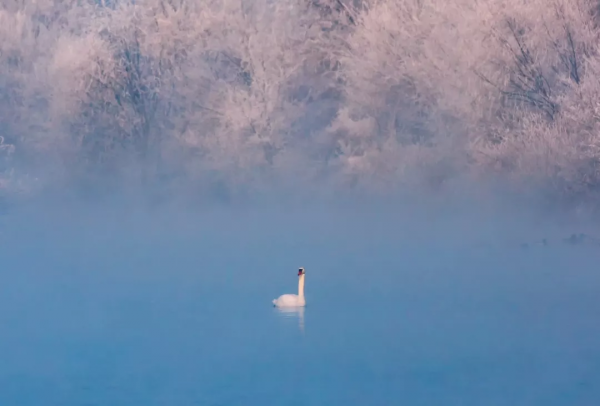 新疆剛下雪，小夥伴不淡定了：原來冬天的新疆是這樣的