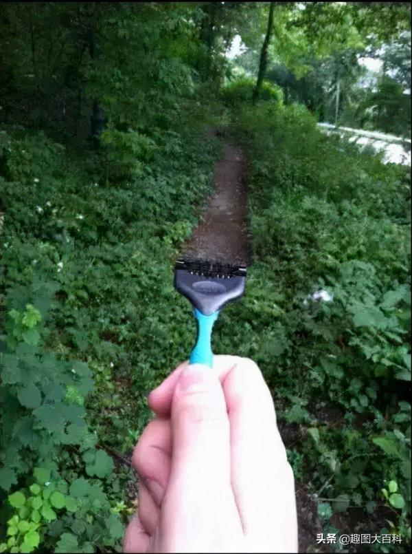 41張“活久未見”的巧合圖片，讓人感覺很難相信這是真的