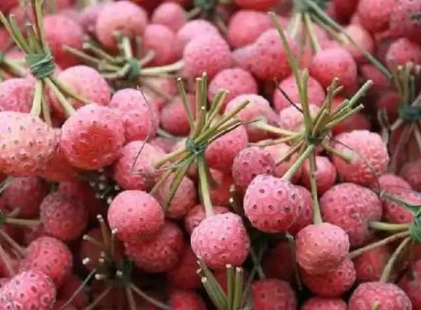 雲南的各種奇葩水果，吃法獨特，我還能叫出17種，都認識算你厲害