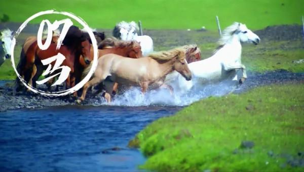 十二生肖輕鬆打油版,精彩多多,趣味多多,歡迎收藏,歡迎轉發 十二生肖輕鬆打油版,精彩多多,趣味多多,歡迎收藏,歡迎轉發