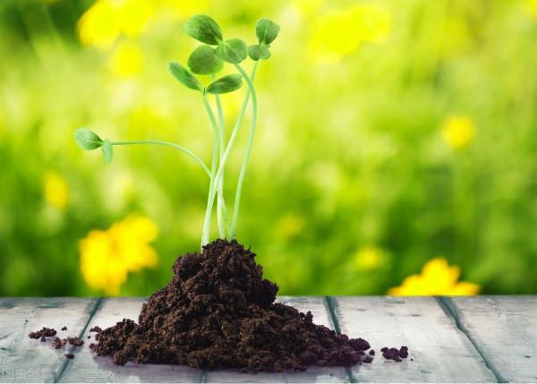 因果報應，不得不信