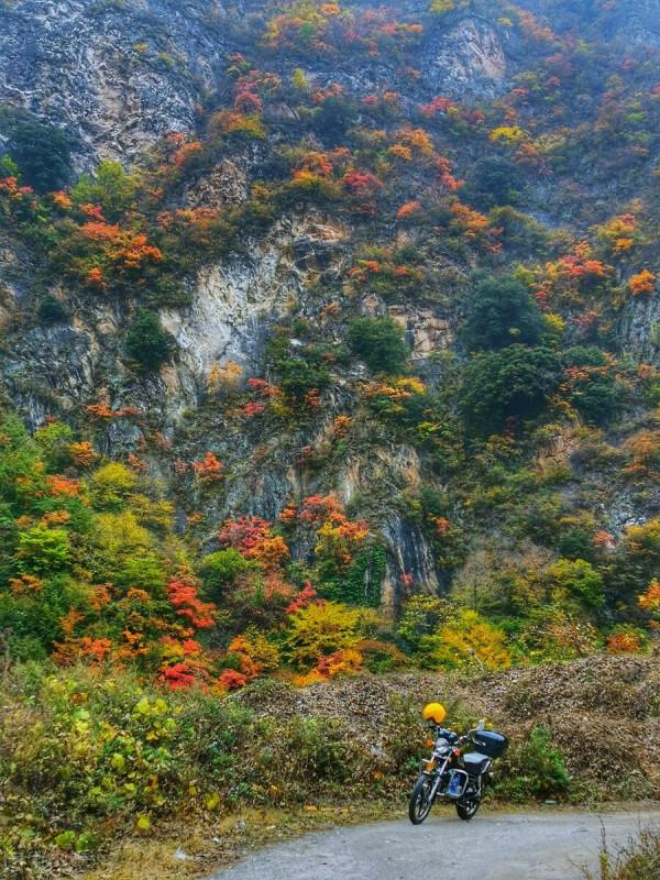 穿越千年,當秋日美景遇上古詩詞,許你一個詩意的山河 穿越千年,當秋日美景遇上古詩詞,許你一個詩意的山河