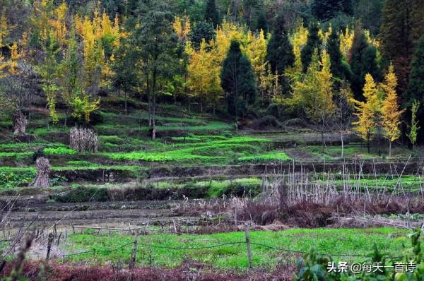 民間力量，中國實力詩人，湖南詩人：雲夢