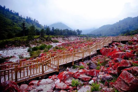 川西美景欣賞 川西美景欣賞