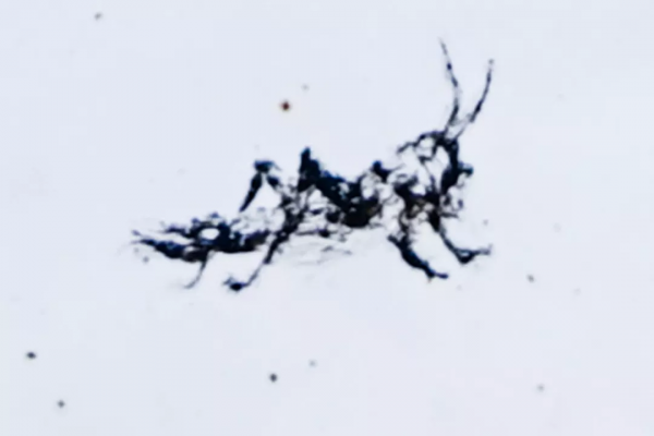 創意早餐食譜:紫薯蘋果雞肉沙拉,搭配白煮蛋和核桃仁 創意早餐食譜:紫薯蘋果雞肉沙拉,搭配白煮蛋和核桃仁