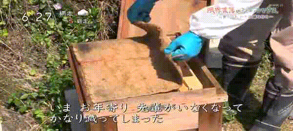 壓力太大多次自殺，逃離都市躲進山村的日本年輕男女，不用交房租還管吃喝？